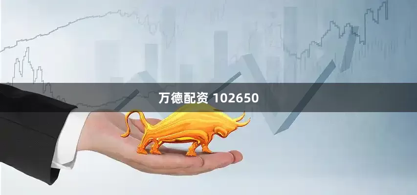 万德配资 102650